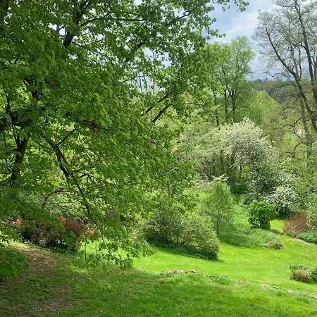 Statek Adamek Daire *