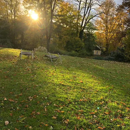 Statek Adamek Daire *