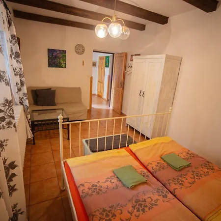 Statek Adamek Appartement Borotice
