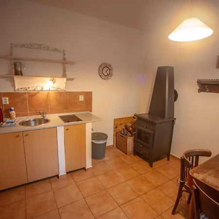 Statek Adamek * Borotice