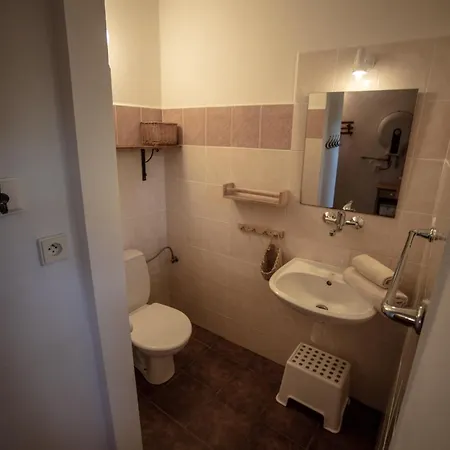 Statek Adamek Appartement Borotice