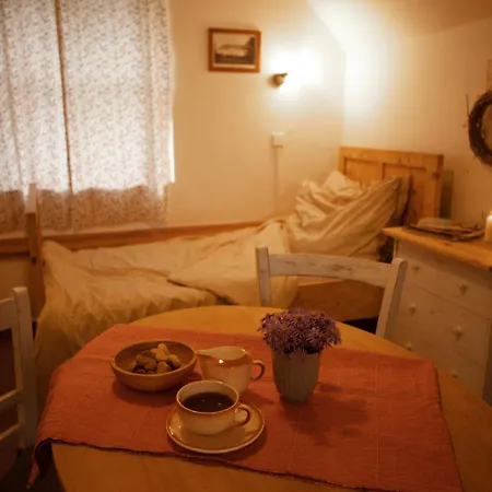 Statek Adamek * Borotice