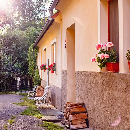 Statek Adamek Daire Borotice