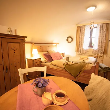 Daire Statek Adamek Borotice