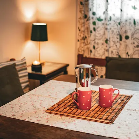 Statek Adamek * Borotice